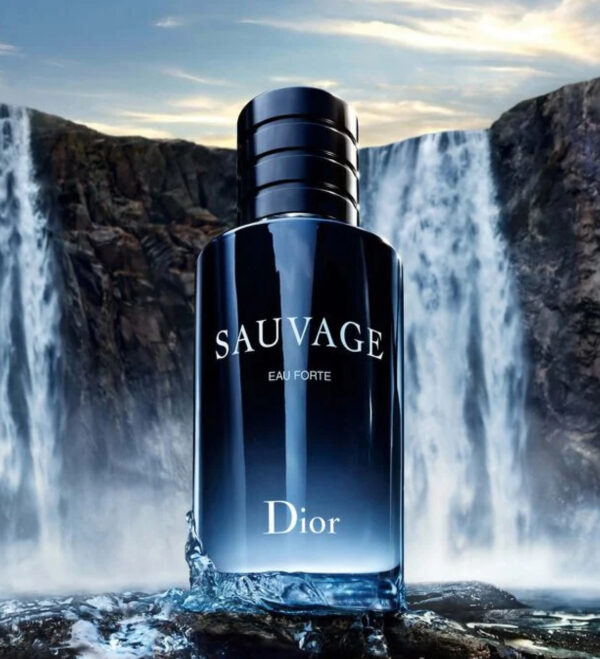 Sauvage Parfum - Image 5